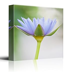 Beautiful Closeup up Purple and Green Flower - Nature Series - Canvas Art Home Art - 12x12 inches