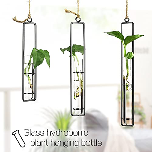 3pcs Wall Hanging Artificial Flower Vase Plant Holder Decoration for Mini Plant Indoor Outdoor Home Office Decoration