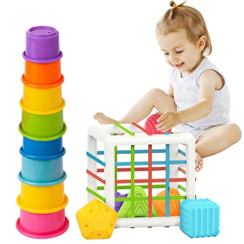 HWONMTE Developmental Toys for 1 Year Old, Shape Sorter Toys for Toddlers 13,Sensory Toys with