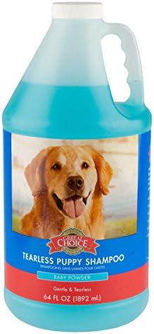 persian cat clippers