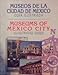 Museos De La Ciudad De Mexico Guia Ilustrada (Serie Trillas turismo) (Spanish Edition) by