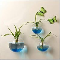 Terrarium Vase - Modern And Fashion Creative Hanging Glass Flower Planter Vase Terrarium Container Home Garden Ball - Sunglass Wall Plants Crystal Ball Pink Flower Glass Terrarium Gold Bulk D