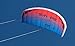 Prism Synapse Dual-line Parafoil Kite, 200