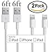 iPhone Charger, IWAVION 2Pack 6FT Lightning Cable Extra Long 8pin USB Data Transfer Charging and Syncing Cable for iPhone 6s Plus/6s/6/6 plus/5/5s ,iPad Mini,Mini2.iPad 5,iPod 7(White)
