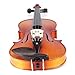 Cecilio 1/4 CVN-300 Ebony Fitted Solid Wood Violin