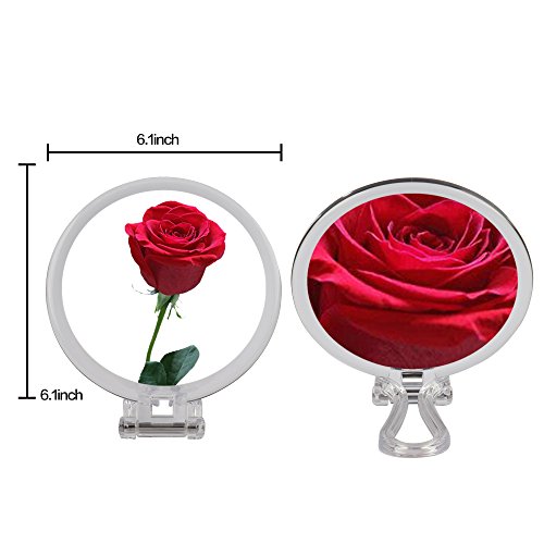 image for Miss Sweet Folding Hand Held Mirror with 10x Magnification & True Imag