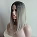 Short Wig Cosplay Wigs for Women Ombre Hair Silver Gray Synthetic Wigs Black to Grey Anxin Bob Straight Middle Part Full Head Wigs Heat Resistant (28CM, Grey)