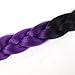 Aliss Queena(TM)1pcs 24'' 80G/Pcs Ombre Kanekalon Braiding Hair Two Tone Purple+Black Kanekalon Jumbo Braid Hair Extension