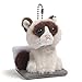 Gund Grumpy Cat Surprise Plush Blind Box Series #1 Plus