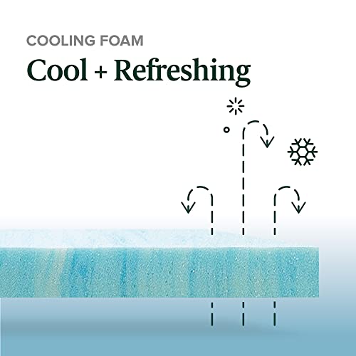 ZINUS 10 Inch Green Tea Cooling Gel Memory Foam Hybrid Mattress