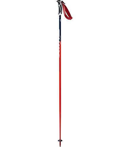 Amazon.com : Swix World Cup Pro Junior SL Ski Poles - Red & Black