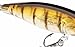 Dynamic Lures Trout Fishing Lure | Multiple BB Chamber Inside | (2) - Size 10 Treble Hooks | for Fishing Bass, Trout, Walleye, Carp | Count 1 | (Ghost Perch, HD Trout 2.25 Inch)
