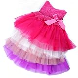 PanDaDa Baby Girls One Piece Floral Dress Lace Bowknot Party Ballet Skirts 0-3Y