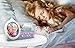 KIDdesigns Frozen Night Glow Alarm Clock(Discontinued by manufacturer)