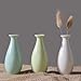 Set of 3 Decorative Miniature Bud Vases,Ceramic Bottle，Ideal Gift for for Home Office, Decor, Table Vases, Bookcase Ornaments Bottles(Multi 3 Colors)
