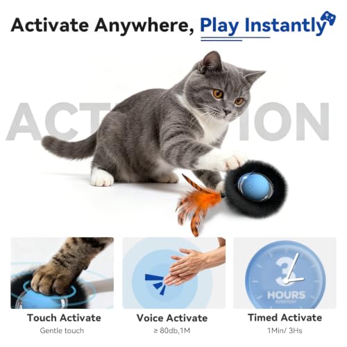 KiwiLove Interactive Cat Toy with Motion Activated Ball & 7-Hole Play Mat, Hide and Seek Exercise Game for Indoor Cats, Automatic Moving Cat Ball in Pouch, Rechargeable Cat Toys(Starry Night)