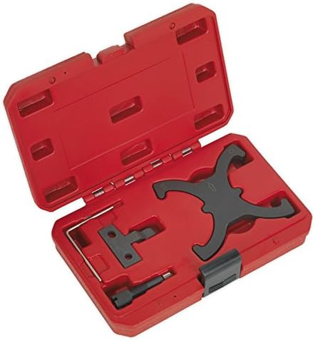 Sealey VSE6560 Petrol Engine Setting/Locking Kit for Ford, Volvo, Belt Drive