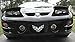 Front Bumper Cover Overlay Decal Stickers - 98-02 Pontiac Firebird - (Color: Gloss Black)