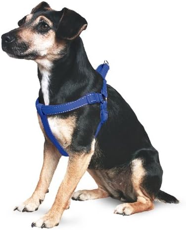 Ancol Pet Products padded reflective harness large 7-8, Blue