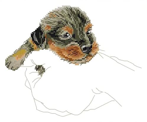 Simply Cross Stitch Puppy Back & Cross Stitch Kit : in Hand Collection - Counted Cross Stitch Kit - 17 DMC Coloured Thread - Pure White - 14CT AIDA Fabric - 26x20 CM