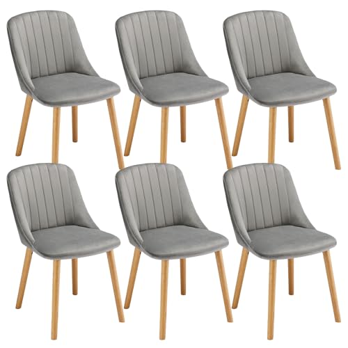 Goeurvant Esszimmerstühle Holzbeine 6er Set Samt Polsterstuhl Küchenstuhl Wohnzimmerstühle für Esszimmer Küche, Hellgrau