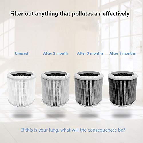 QUEENTY Mini Air Purifier - Desktop Air Cleaner with True HEPA Filter Odor Allergies Eliminator for Smoke, Dust, Home, Office and Pets FG05