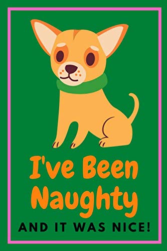 I've Been Naughty And It Was Nice: Dog notebook college ruled