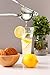 Pro Culinary Single Press Citrus Juicer with Italian Inspired Recipe Ebook