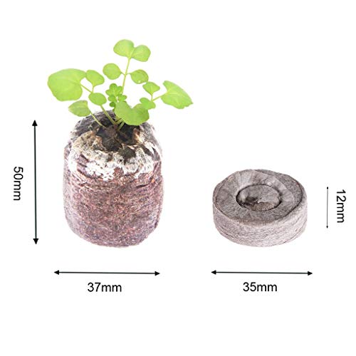 Tee Vee 35mm Garden Soil Peat Pellets for Seeds Germination Seeds Starting Direct Plant Seed Starters (50, 35mm)