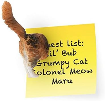 Kikkerland Cat Butt Magnets, Set of 6 (MG53), Colourful, 18.288 x 12.954000000000001 x 2.794 cm - Image 3