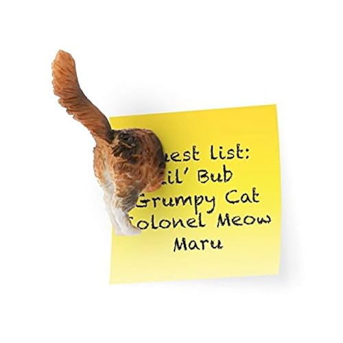 Kikkerland Cat Butt Magnets, Set of 6 (MG53) Home & Kitchen, Home Décor, Home Décor Accents, Decorative Accessories