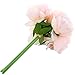 SOLEDI Silk Peony Bouquet 5 Heads Light Pink Artificial Fake Flower Bunch Bouquet Bridal Bouquet Wedding Living Room Table Home Garden Decoration