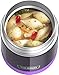 THERMOS FUNTAINER 10 Ounce Stainless Steel Kids Food Jar, Purple
