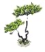 HITOP Aquarium Pets Plastic Plants for Fish Tank Decorations, Artificial Pine Tree Aquarium Décorfor Fish or Reptile