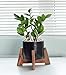 Mid Century Plant Stand – Wood Table Top Plant Stand Mini Flower Pot Holder for Succulent Cactus Small Plant Home Office Desk Decoration – Apollo – Fits up to 6.5” Planter (Planter NOT Included)thumb 1