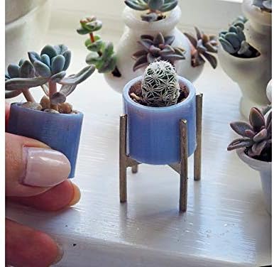 Desconocido Macetero Pequeño | 1x Unidad | Especial Plantas ...