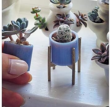 Desconocido Macetero Pequeño | 1x Unidad | Especial Plantas ...