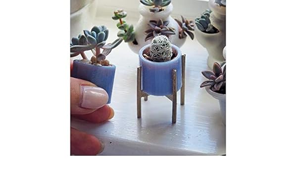 Desconocido Macetero Pequeño | 1x Unidad | Especial Plantas ...