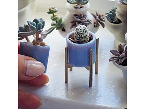 Desconocido Macetero Pequeño | 1x Unidad | Especial Plantas ...