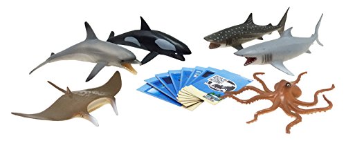 Nature Bound Marine Animals Safari Large Set with Collector Cards