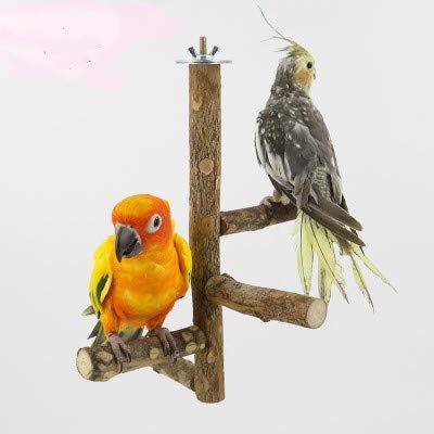 SONYANG Bird Perch Parrot Nature Wood Stand Activity Branch Stand Bite Toy Natural Birdcage Platform pet Toys Playground for Cockatiel Parakeet
