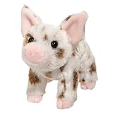 Brown Spotted Pig