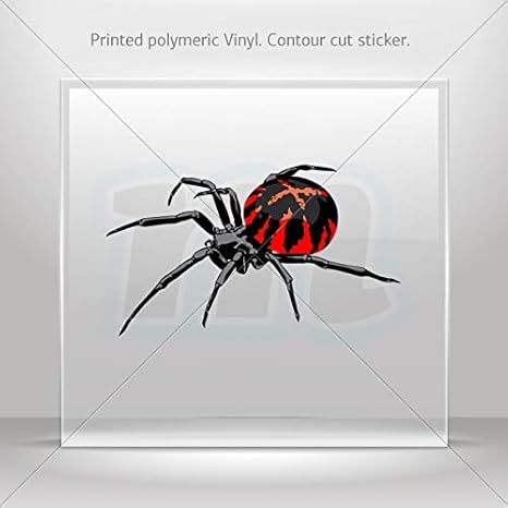 Download Amazon.com: Animals Insects Various sizes Decal Stickers Spider Decor Room Durable Decoration ...
