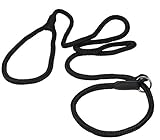Dogs My Love Nylon Rope Slip Dog Lead Adjustable Collar and Leash 6ft Long (Small: 1/4