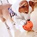 Hipat Dog Treat Ball, Fun Interactive Dog Food Dispenser Toy, Pet Healthy and IQ Ball, Environmental Soft Rubber, 3D Surface Soccer Better to Grip,with Fragrance (4.5 inch, Orange)