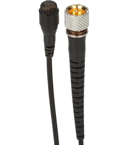 Amazon.com: DPA 4060 CORE+ Omnidirectional Lavalier Microphone