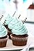 Love2bake Cupcake Decorating Tip Set, Classic Stainless Steel Decorating Tips, Closed Star, Open Star, French, Round/Plain, X-Large