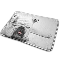 Jingclor Welcome Doormat, Entrance Floor Mat Rug Indoor Outdoor Front Door Mat with Non-Slip Rubber Backing, Printing Doormats with Cute Sleeping Bulldog Pattern, 15.8