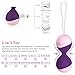UTIMI Remote Vibrator Love Egg Clitoris Stimulator Kegel Balls for Tightening 3 in 1 kit Vaginial Tightener Silicone Exerciser Bladder Control Devices for Women