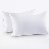 Friendriver Luxury Hotel Quality Bed Pillow [Set of 2] Family Plush Gel Bed Pillow,Suitable for Side and Back Sleeping Pillow